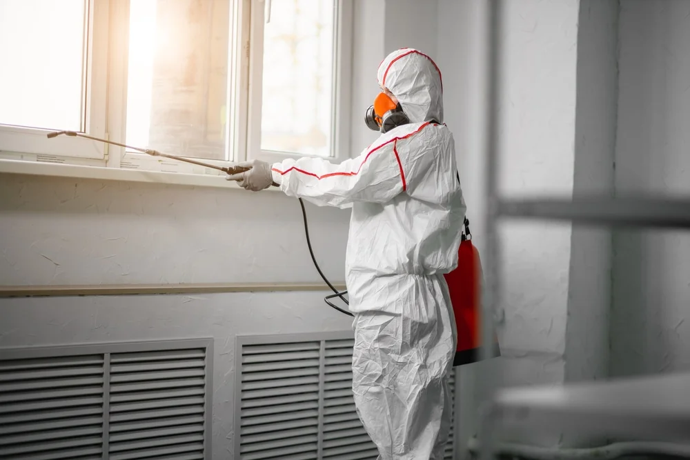 Professional mold remediation services in Ingram, TX